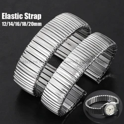 12mm 14mm 16mm 18mm 20mm Stainless Steel Elastic Watch Band Strap Men Women Universal Bracelet Metal Expansion Strap Accessories