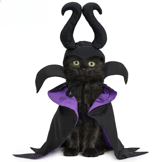 Kostium na Halloween w kształcie czarownicy kot fioletowa peleryna wampira szczeniak czarodziej diabelskie rogi kapelusz zwierzęcy strój wakacyjny dla małych średnich rozmiarów Do