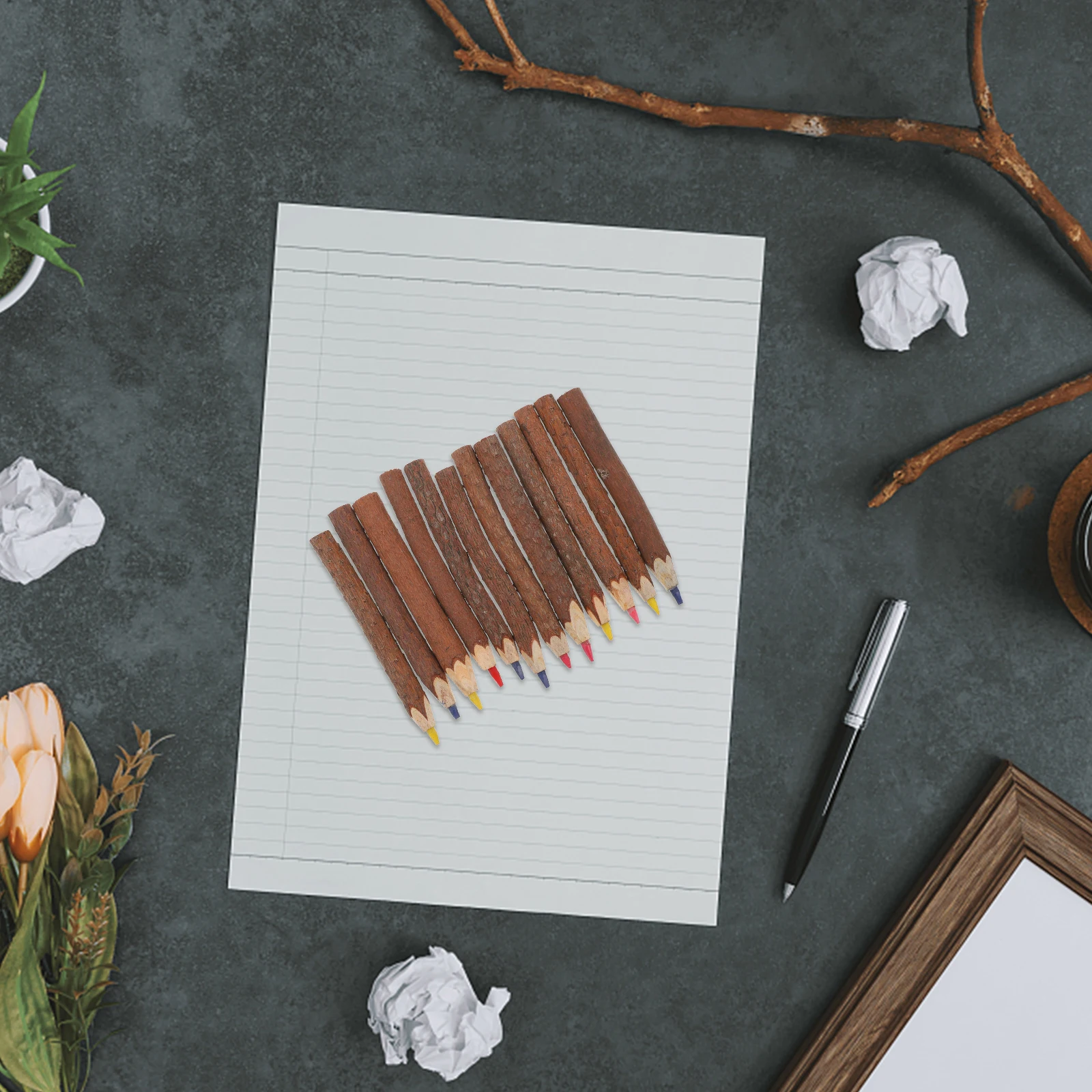 

12pcs Colored Pencils Safe Non Toxic Uniform Transfer Fine Texture Ideal Gift Children Brides Events Tree Branch Bamboo Wooden