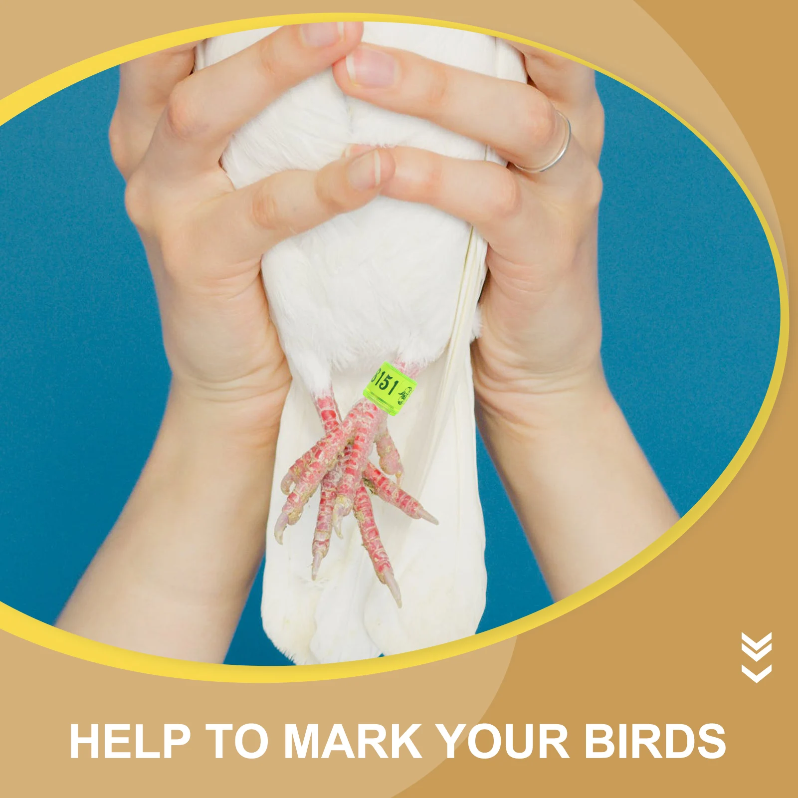 100Pcs Bird Foot Ri… - image