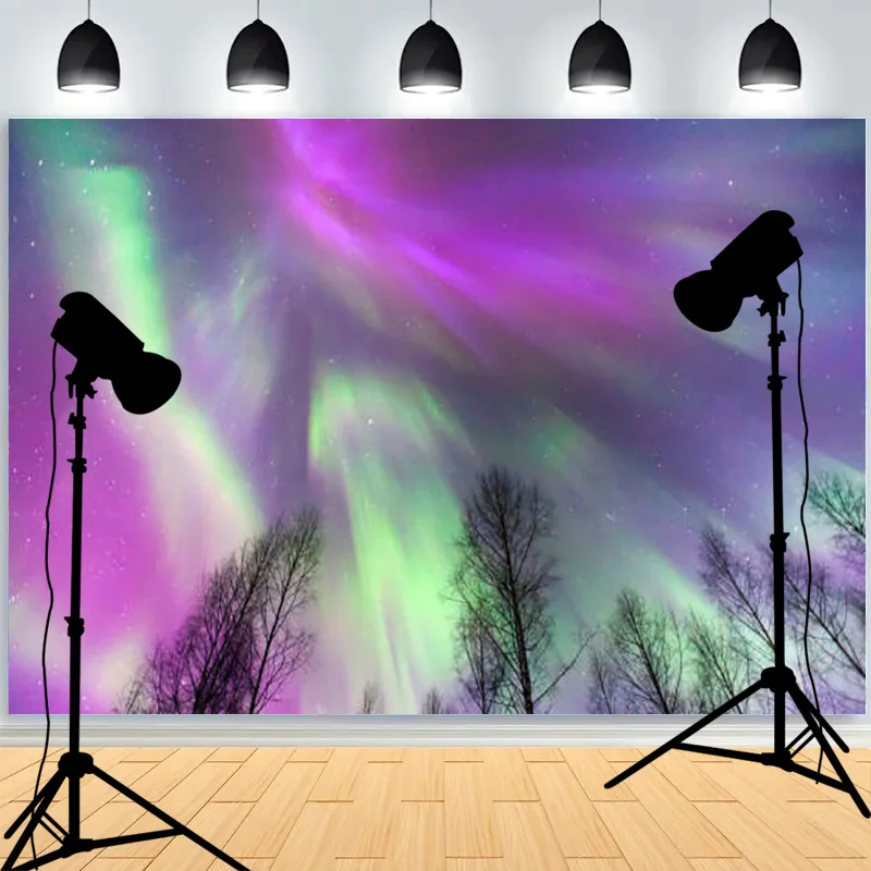 Aurora Light Bands Star Night Sky Wilderness Photography Background Wilderness Firmament Icy Plain Studio Backdrops SR-09