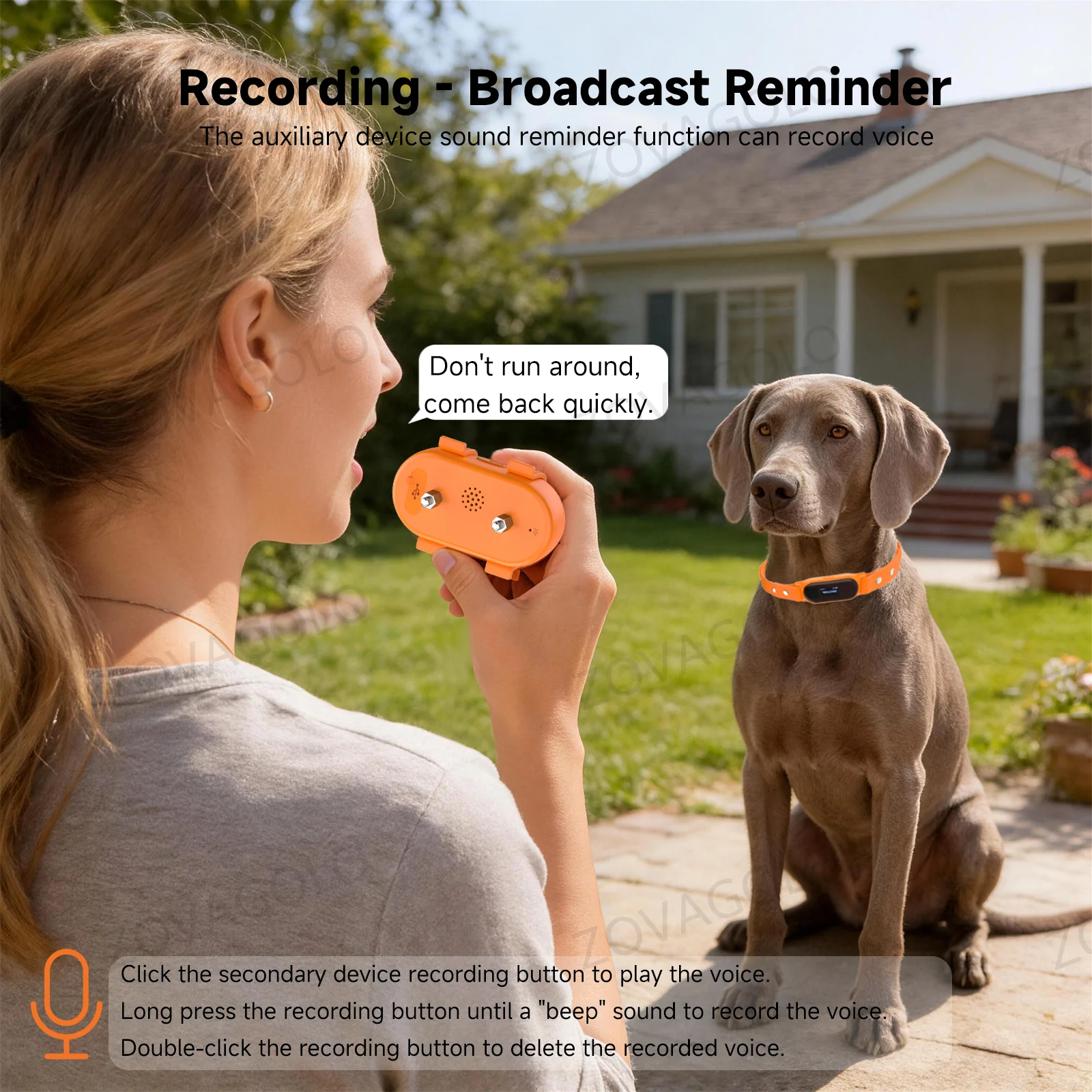C08-PX: localizador GPS para m - Dog Gps Tracker Collar 4G Waterproof reseña y precio