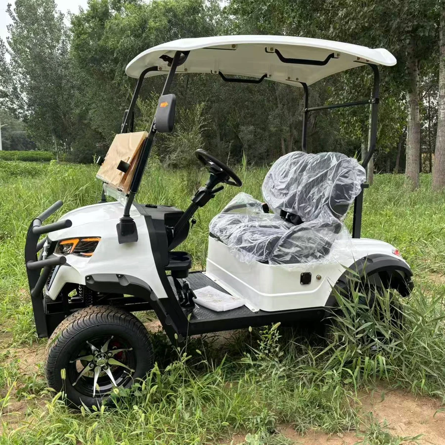 MMC قابل للتخصيص فاخر 2/4/6 مقاعد 4000/5000/7000/10000/15000 واط على الطرق الوعرة 4WD سيارة جولف عربة جولف كهربائية #2