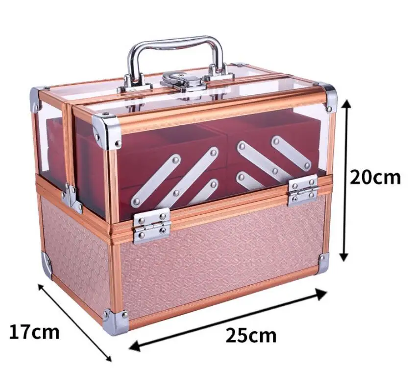 Women Cosmetic suitcase metal Cosmetic Bag Beauty Suitcase Makeup Organizer Tattoos Nail Art Tool travel Makeup Bag Makeup Box