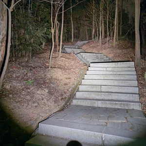 Laterne mit Vovoy S2 Plus, Laterne Laterne, Fischerei, Camping, Fischereilampe, Orange Pee, Orange Pee, 519a, R9080, 5A, 12 Gruppen 10 Hauptverkäufe von lila LED -Reflektor - №8