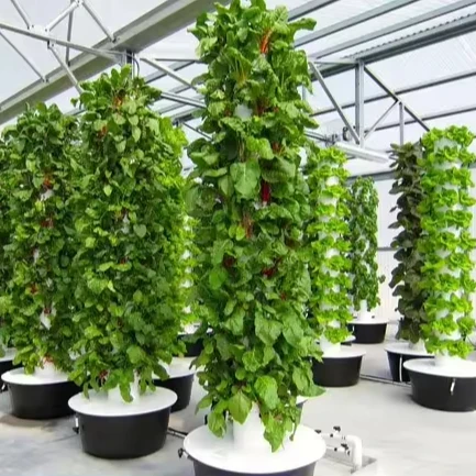 

2025Home Use 10 Layers Customized Automatic Hydroponic System Indoor Grow Tower Kit for Vegetable and Fruit