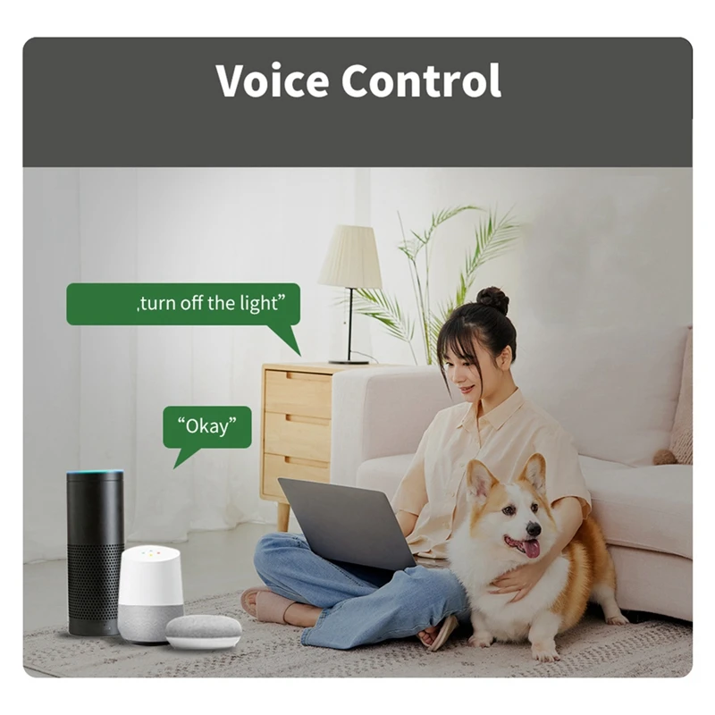 Tuya Mini Wifi Smart Switch Module Support 2 Way Control Smart Home DIY Switches Smart Life APP Voice Control-BCBW