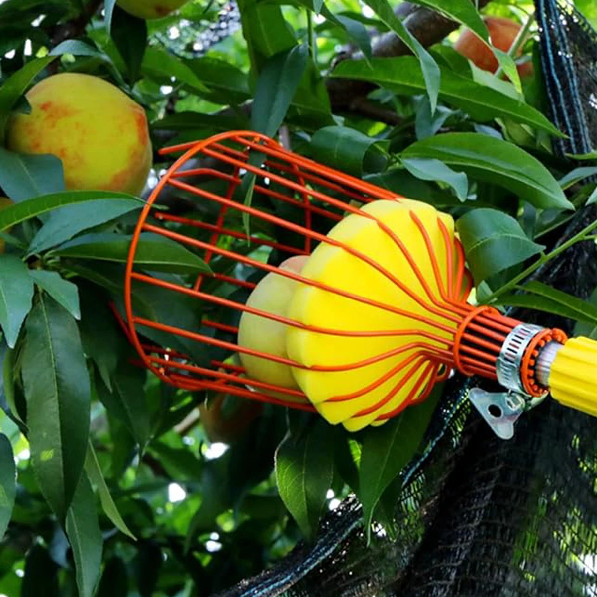 Fruit Picking Picker High Altitude Telescopic Collector Pole Plukker Collect Tool Fruits Trees Catcher