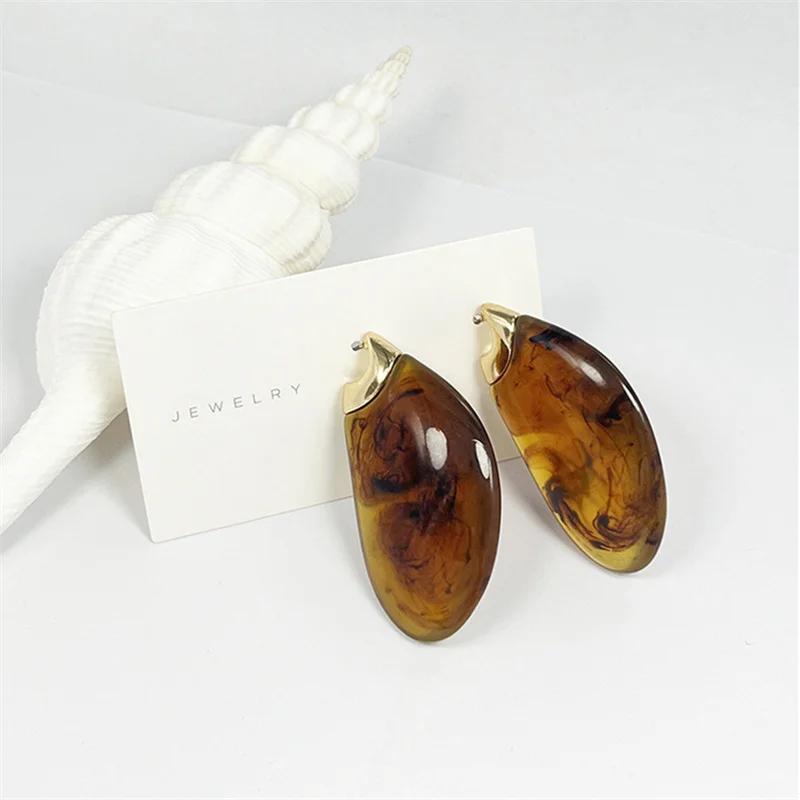 HangZhi Exaggerated Transparent Resin Large Earrings Elegant Vintage Chunky Jewelry for Women Autumn Winter New Design
