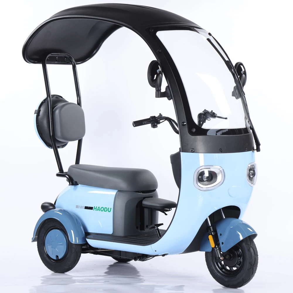 Beautiful Color Custom One Seat Electric Trike 500w Electric Tricycles for Passenger