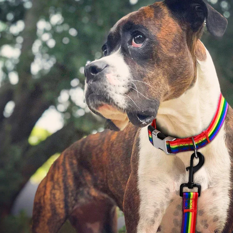 Forest Pattern Adjustable Dog Collar 6