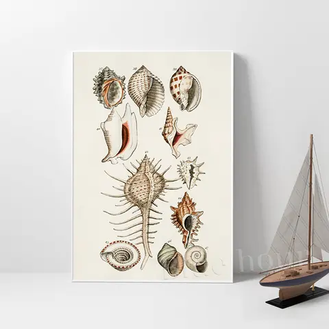 8 best sales समुद्र तट घर सजावट - №4