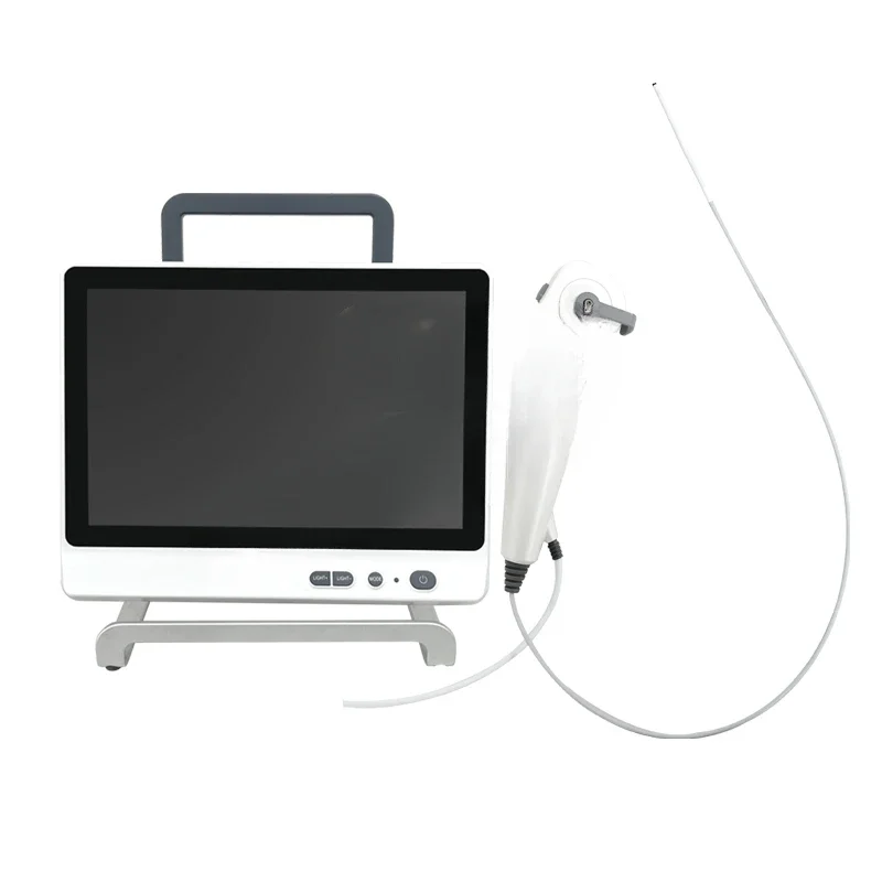 Hot salesSy-P029-3 Hospital Use Digital Portable Ent Endoscope with Latest& Best Software