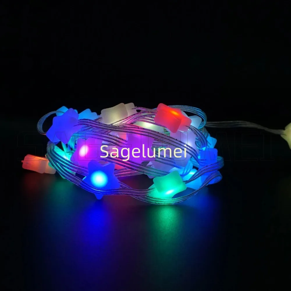 5/10M Smart Bluetooth LED String Fairy Lights WS2812B Dreamcolor RGB Party Lights For New Year Wedding Decoration Garland USB 5V