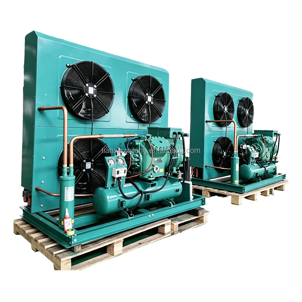 Copeland 30HP Air Cooled Open Type Condensing Unit with High Efficiency & Low Noise for Cold Storage Rooms 380V-440V
