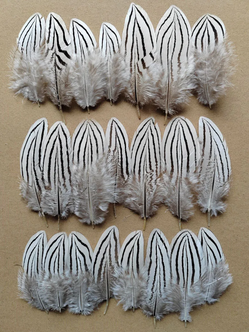 100Pcs/Lot! NATURAL Silver Wing Pheasant Feathers,Feather Headdress,Top with Feathers,Feathers Natural