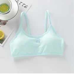 Child Cotton Bra For Young Girls Kids Teenage Underwear Wireless Small Training Puberty Bras Undergarment Clothes