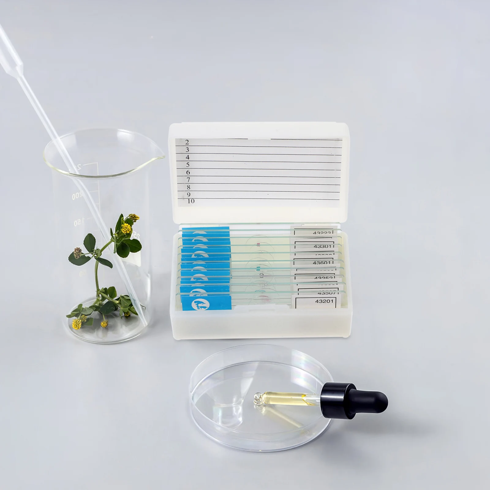 

1Set Biology Glass Prepared Microscope Slides for Teaching Scientific Study Specimen Slides for Students Educational Microscope