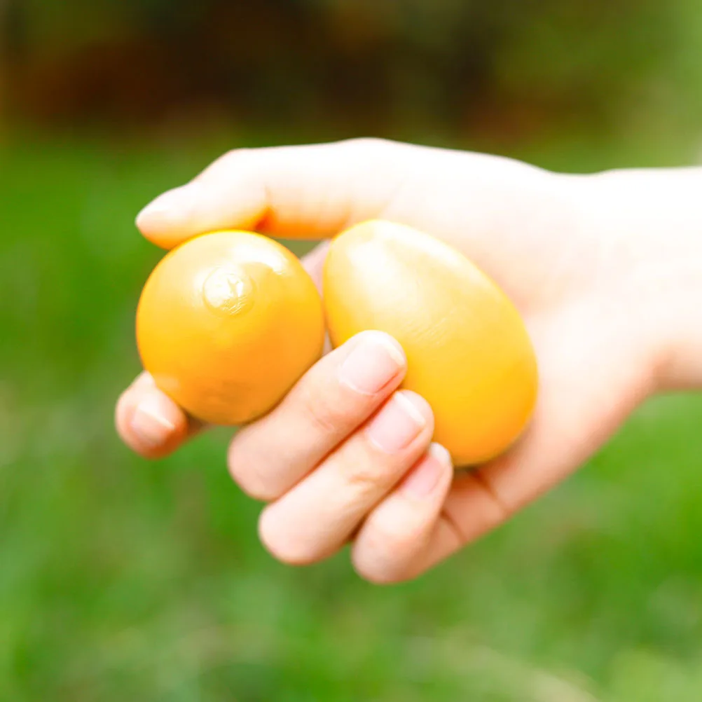 Shakers à œufs musicaux en bois, 4 pièces, sûrs et durables, amélioration des compétences cognitives, Instrument de Percussion coloré, frapper les œufs
