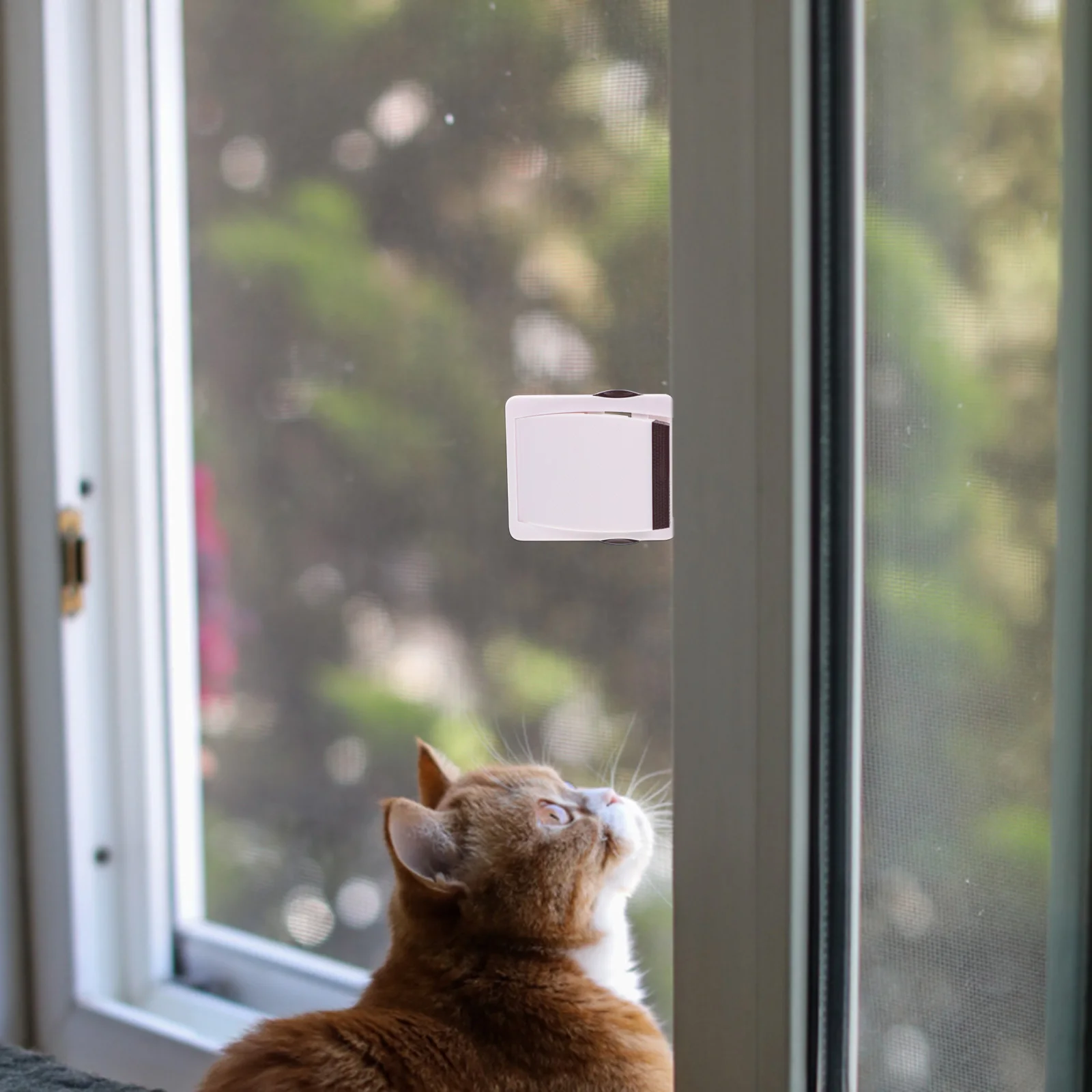 Замок безопасности для окон