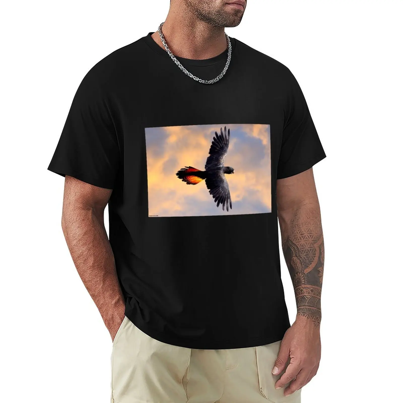 

Red Tail Black Cockatoo - Flight T-Shirt tops vintage clothes new edition plain black t shirts men