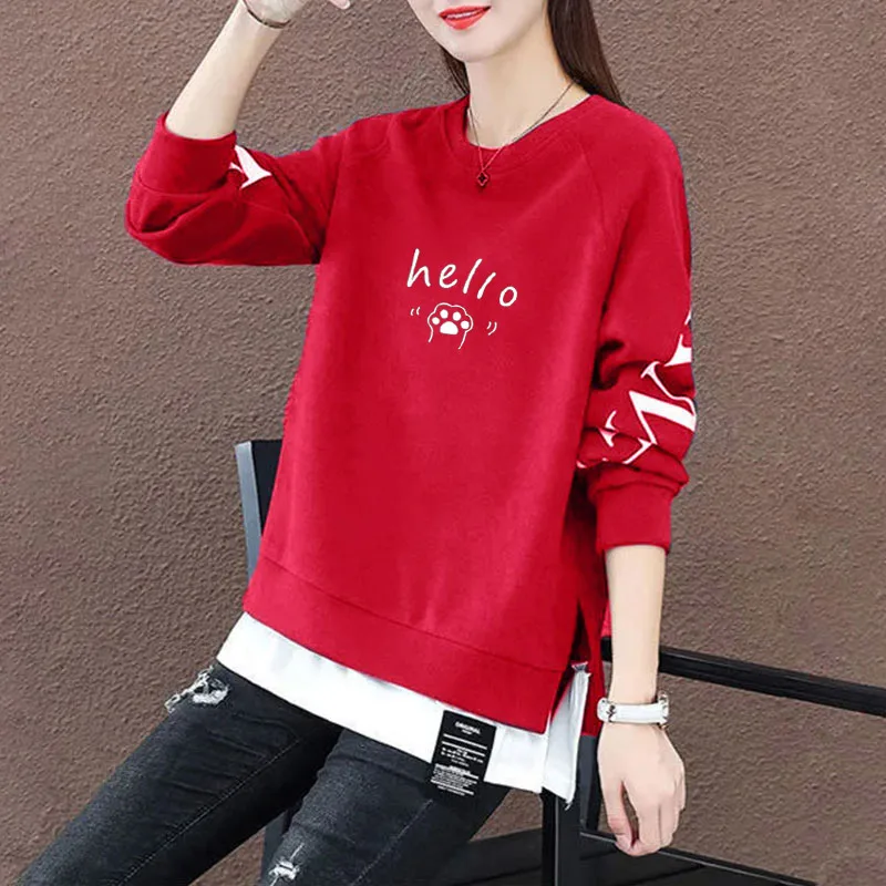 Felpa con cappuccio in due pezzi finto da donna 2024 Autunno Nuovo Thiened Fce Allentato Lungo Sve Tuta sportiva rotonda Ne Commute Sle Jaet