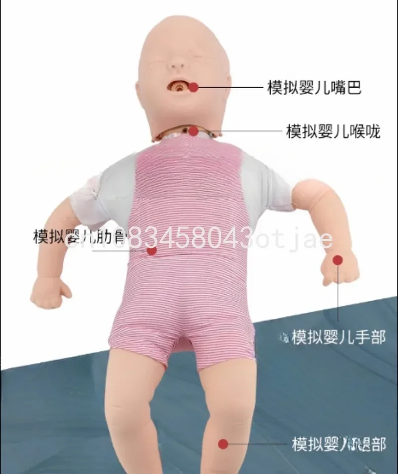 

Baby Cpr Props Human Body Model Teaching Tool Baby Infarction Model