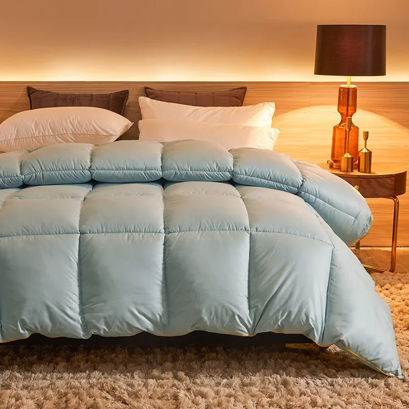 2025 New Premium Polyester Filled Duvet Comforter Thick Warm Winter Blanket Soft Breathable Home Bedding Quilt for All Seasons