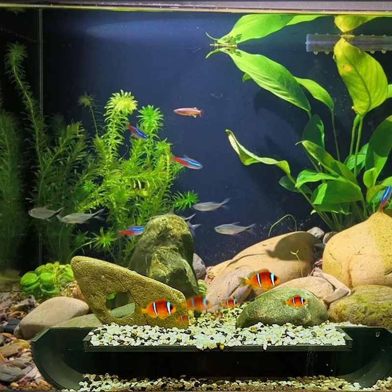 نفق الزاوية تحت الأرض لحوض السمك كهف/خزان الأسماك للحيوانات الأليفة المائية لتسلالة اللعب ومراحة خزان الأسماك الحلي