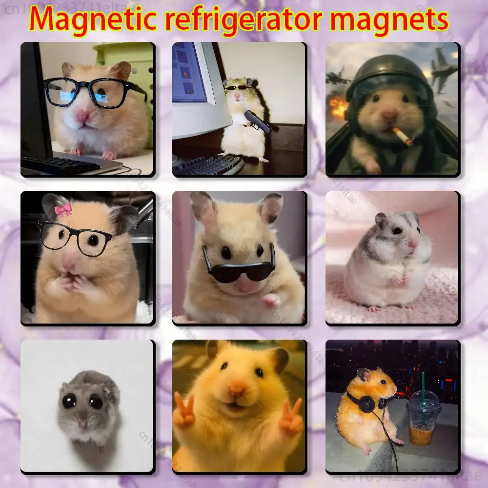 

Cute Animal Hamster Fridge Magnet Personalized Magnetic Durable Plastic Square Picture Surface Fridge Magnets