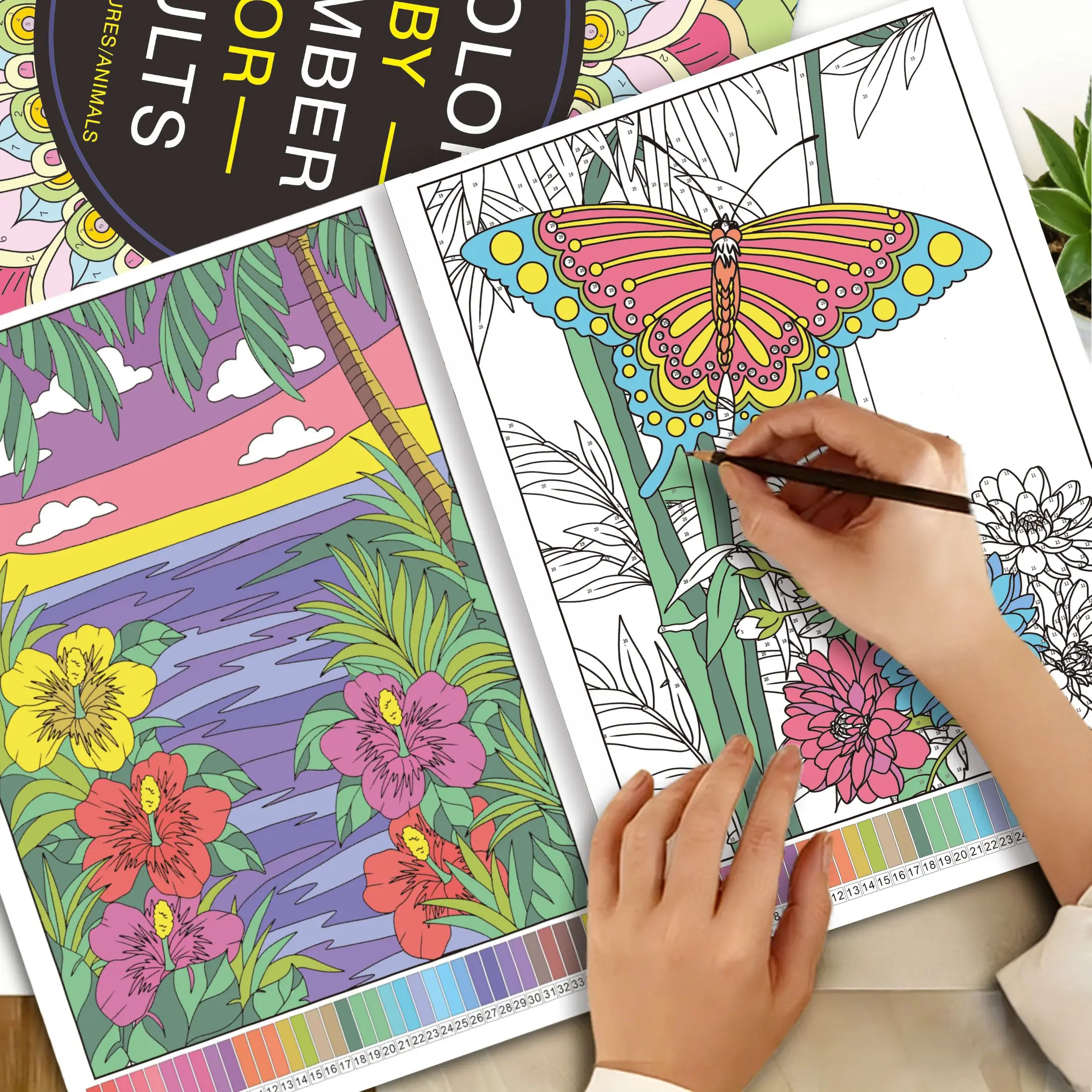 32 Pages Adult Color By Number - Food Y Snacks Coloring Book 评论和价格