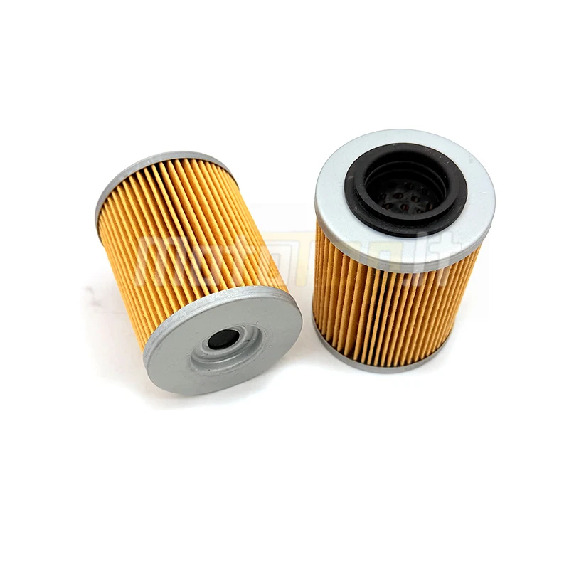 2PCS Oil Filter for Stels ATV 650 800 850 Guepard & Russian mechanics RM800 ATV QUAD PARTS 1520A-E05-000 LU049856 0120440