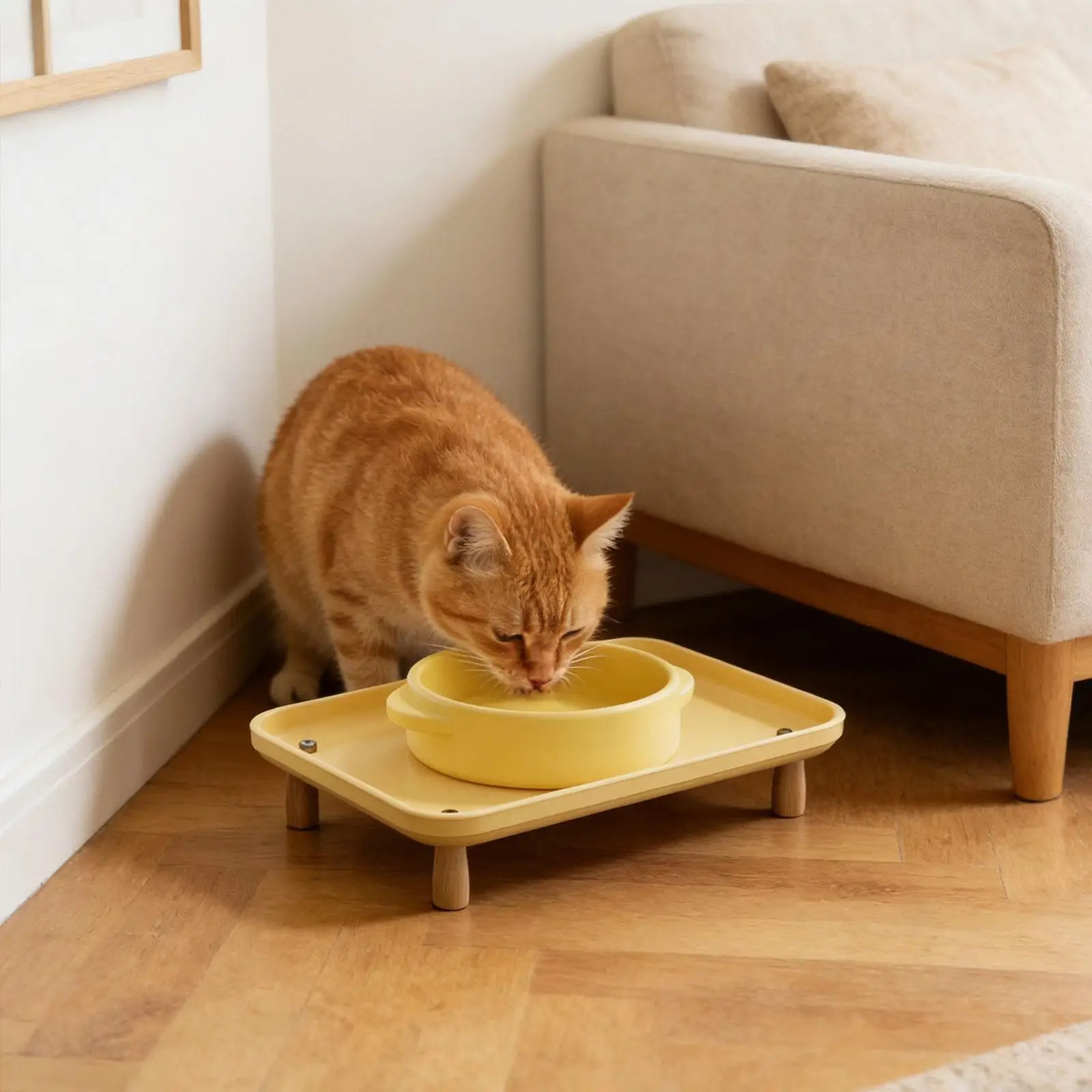 Support de gamelle surélevé pour chien, design anti-roulement, tapis lavable pour animaux, gamelles surélevées pour nourriture ou eau