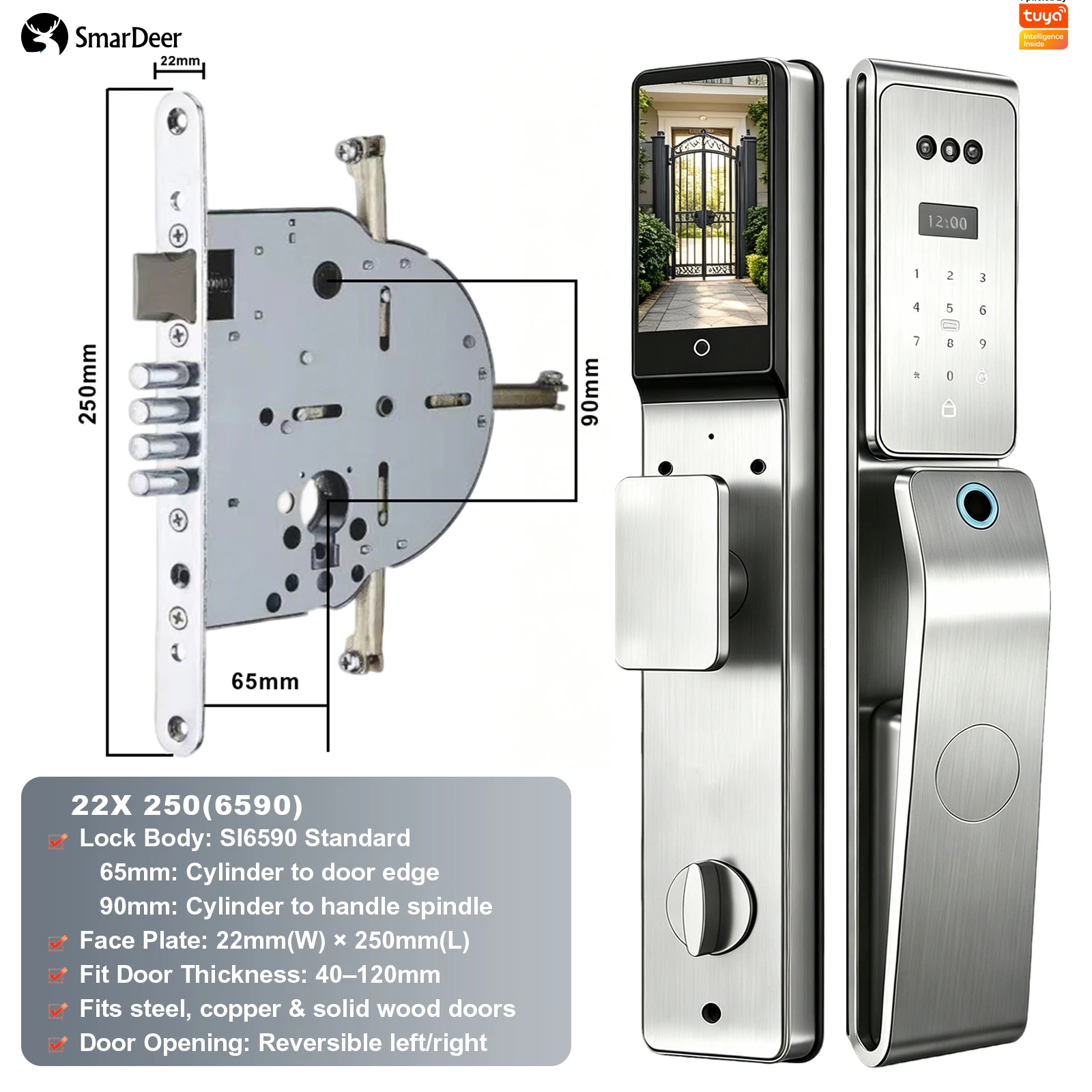 SmarDeer IP66 Outdoor Waterdicht Smart Lock, 3D Gezichts- en Palmaderherkenning Deurslot, Tuya WiFi Keyless Entry Veiligheidsslot