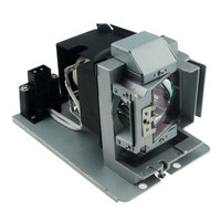 5J.JD305.001 Accessories of projection lamp fit for OPTOMA HD161X HD50 for VIVITEK D865W DW866 for BENQ HT4050 W1350 W3000