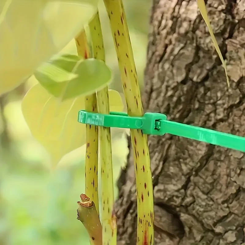 200 Uds. Lazos de jardín reutilizables soporte para plantas sujetador de arbustos bloqueo de árbol bridas de plástico ajustables de nailon