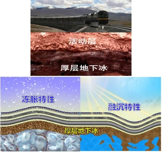 

RC Upgrade Accessories Kit for WLtoys 12428 12423 Feiyue FY03 Q39 Q46 1/12 RC Buggy Car Universal Accessories