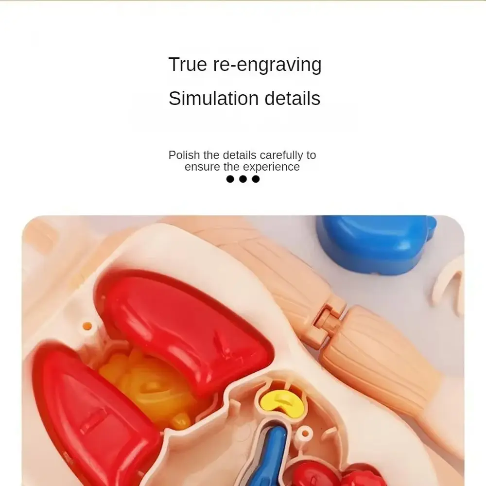 Fidget Toys Push Bubble Sensory Squishy Toy KeyChain Autism Need Keychain Adult Child Anti-Stress Toy For Children Kids Gift