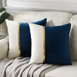 2 Piece Soft Cozy Decor Blue Cushion Case Gold Velvet Gold Bar Pillow Case 45x45 Turquoise Cushion Cover for Ornamental Pillow