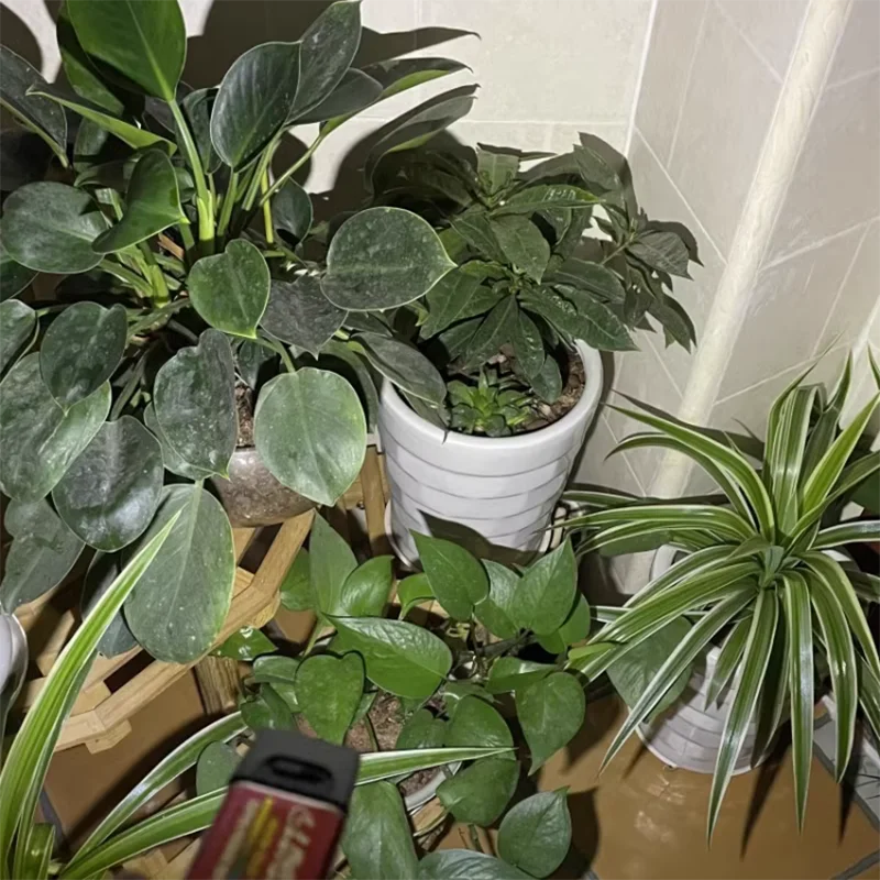 ZK40 9V Battery LED Flashlight Compact Size LED Strong Light COB Outdoor Lighting Flashlight Torch for 6F22 9V Battery