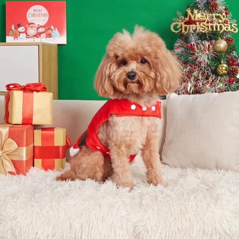 1 pet transformation outfit for dogs Christmas clothes, suitable for cats, dogs Christmas holiday gift decoration and matching