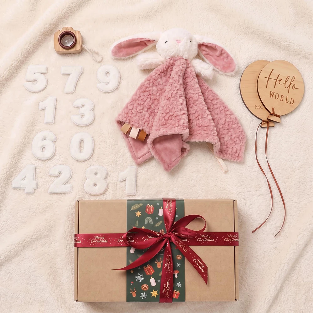 Christmas Bunny Milestone Gift Box Rose Fleece Lovey White Felt Numbers Wooden Camera Natural Wood Newborn Photo Props for Baby