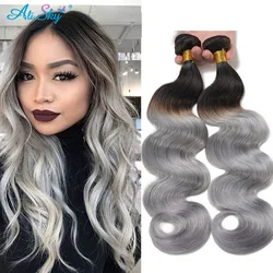 1B Silver Body Wave Hair Bundles Human Hair 1/3/4Bundles Wet And Wavy Remy Hair Weave Extension Two Tone Ombre Black To Grey