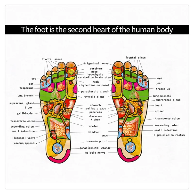 Smart Foot Massager Electric EMS Foot Massager Feet Muscle Stimulate Kneading Shiatsu Deep Relaxation USB Electric Acupoint