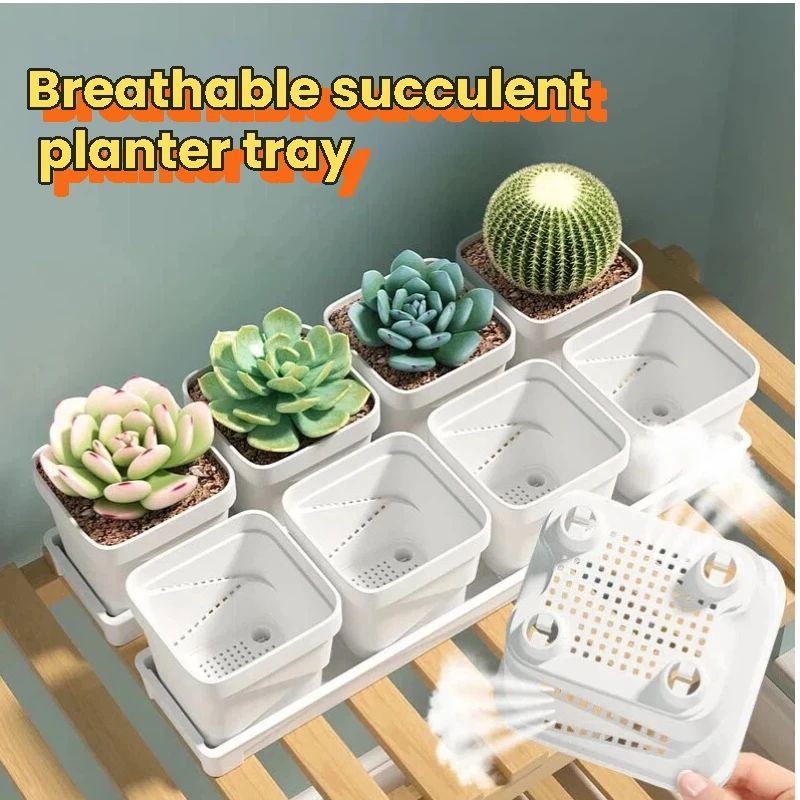 Anti Rot Root Succulent Plant Pot With Removable Tray Thickened Plastic Planter For Cactus Balcony Greenery
