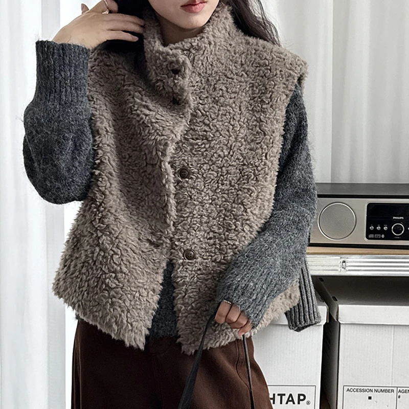 

Autumn Winter Suede One Fur Sleeveless Vest For Women Faux Lamb Wool Stand Collar Loose Single Breasted Tops