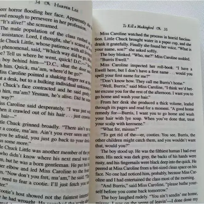 To Kill A Mockingbird Paperback Book in English