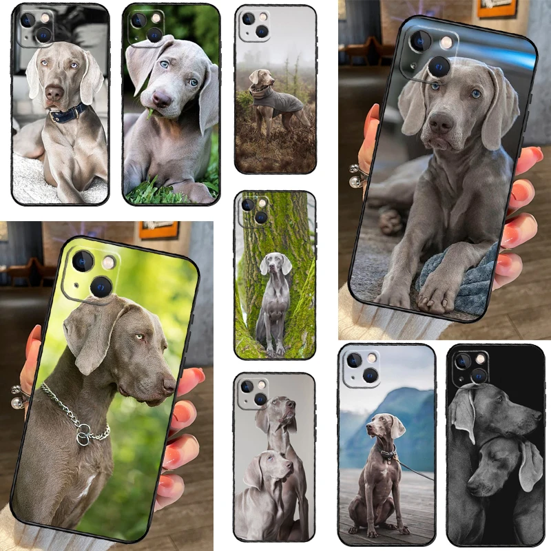 Weimaraner-funda de perro para iPhone, funda de teléfono para iPhone 16, 14, 15 Pro Max, 12, 13 Mini, 11, 15 Pro Max Plus, X, XS Max, XR