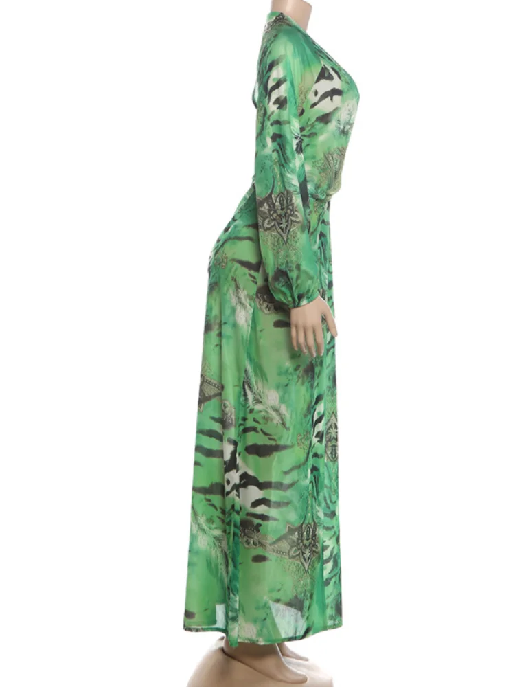 Woman Tiger Stripe Print Deep V-neck Dress Sexy Backless Long Sleeve Dresses 2026 Summer Vacation Beach Party Elegant Vestidos