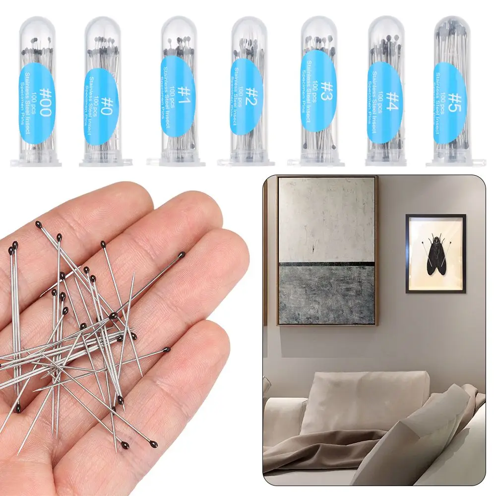 100Pcs Sharp Tip Education Lab Accessories Needle Pin Insect Dissections Supplies Specimen Pins